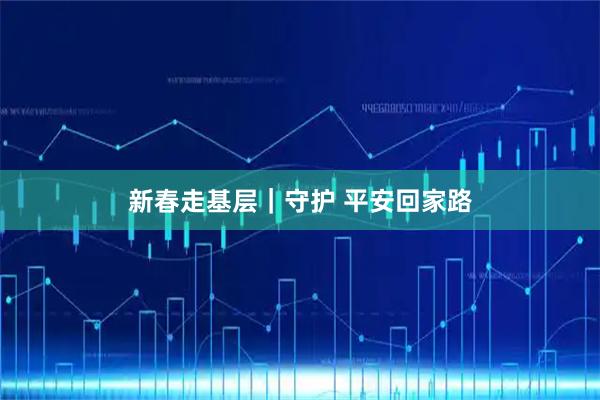 新春走基层｜守护 平安回家路