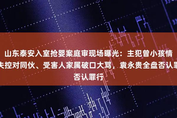 山东泰安入室抢婴案庭审现场曝光：主犯曾小孩情绪失控对同伙、受害人家属破口大骂，袁永贵全盘否认罪行