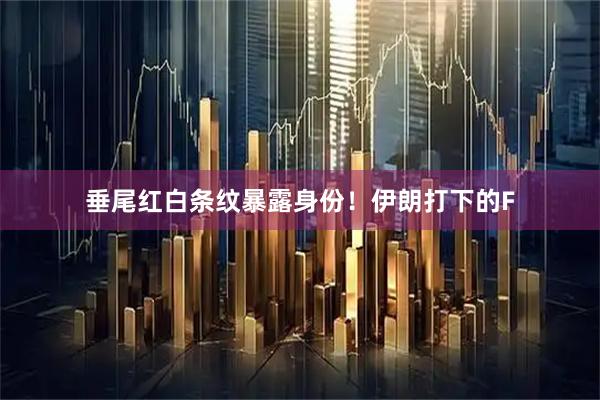 垂尾红白条纹暴露身份！伊朗打下的F